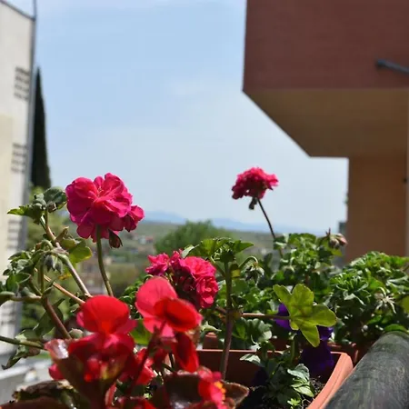 Princess * Sandanski