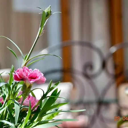 Apartment Princess *