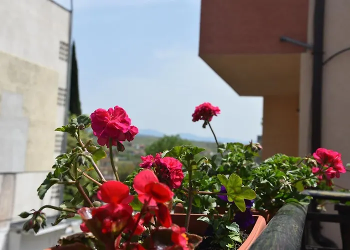 Princess * Sandanski