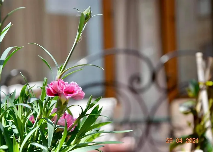 Lejlighed Princess *